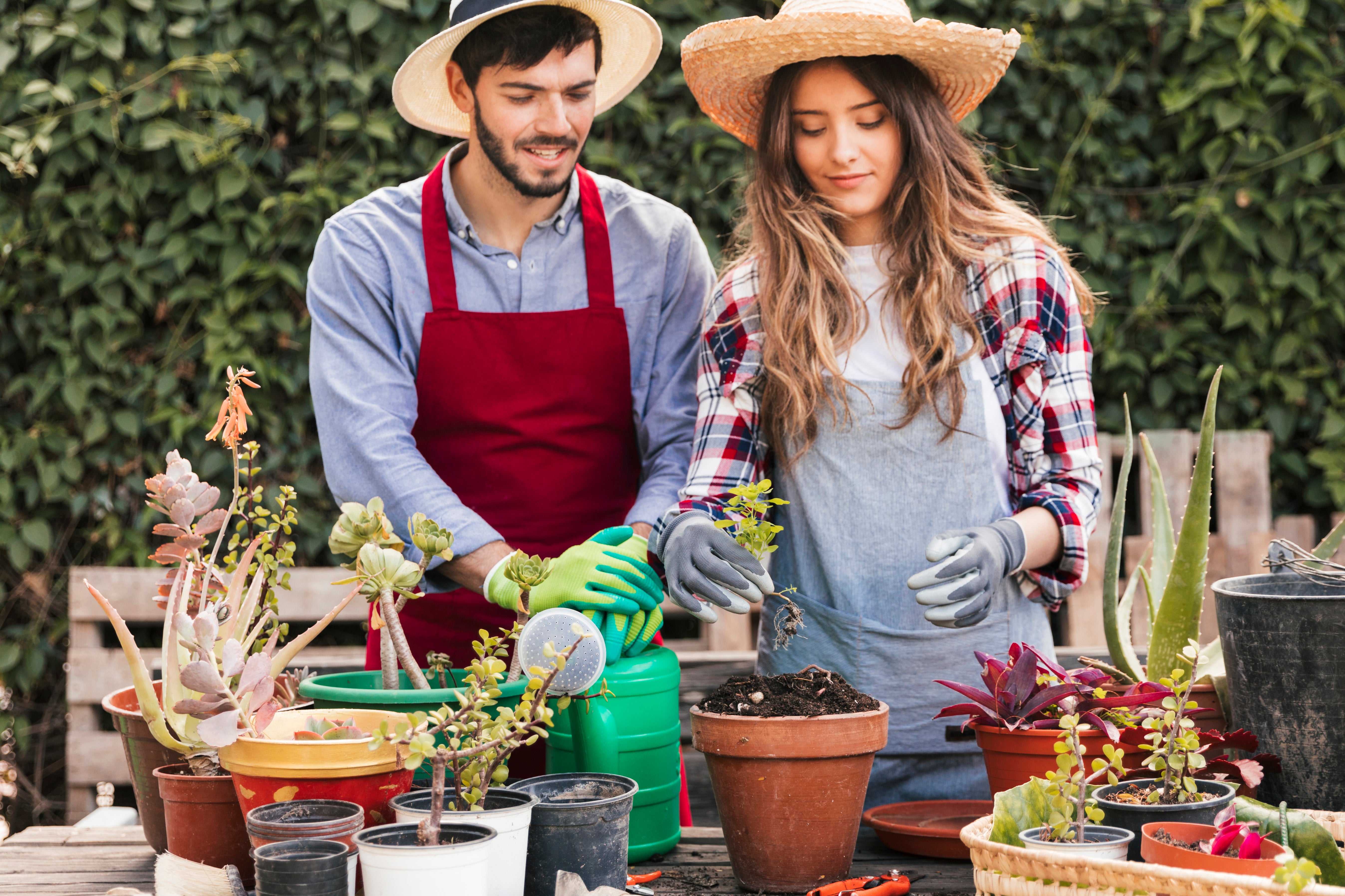 Two people gardening together, surrounded by plants and gardening tools.